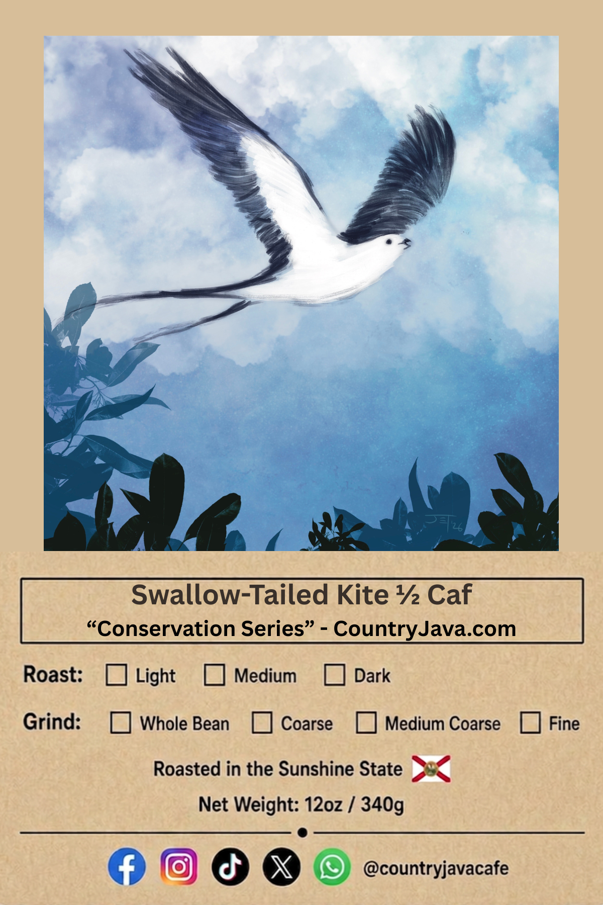 Swallow-Tailed Kite 1/2 Caf Blend